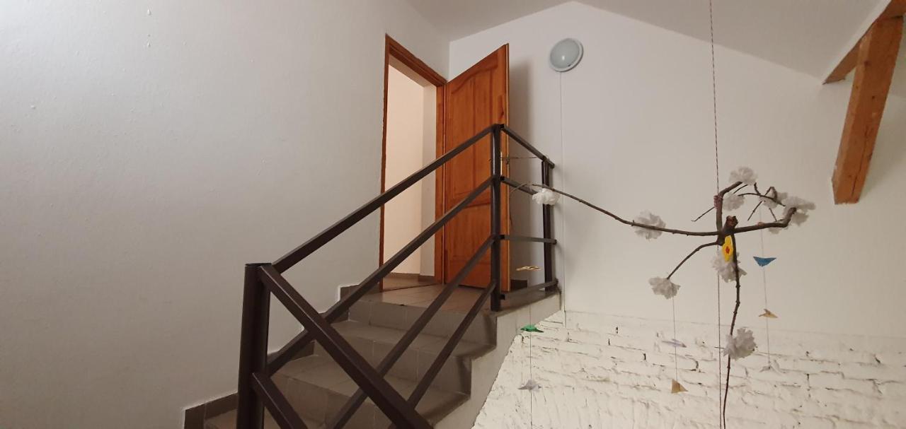 Romzsa Todor Kollegium Hostel Szeged Exterior photo